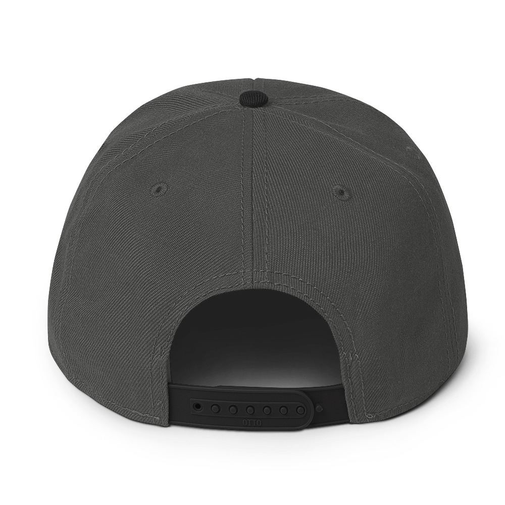 Snapback Hat - Image 46