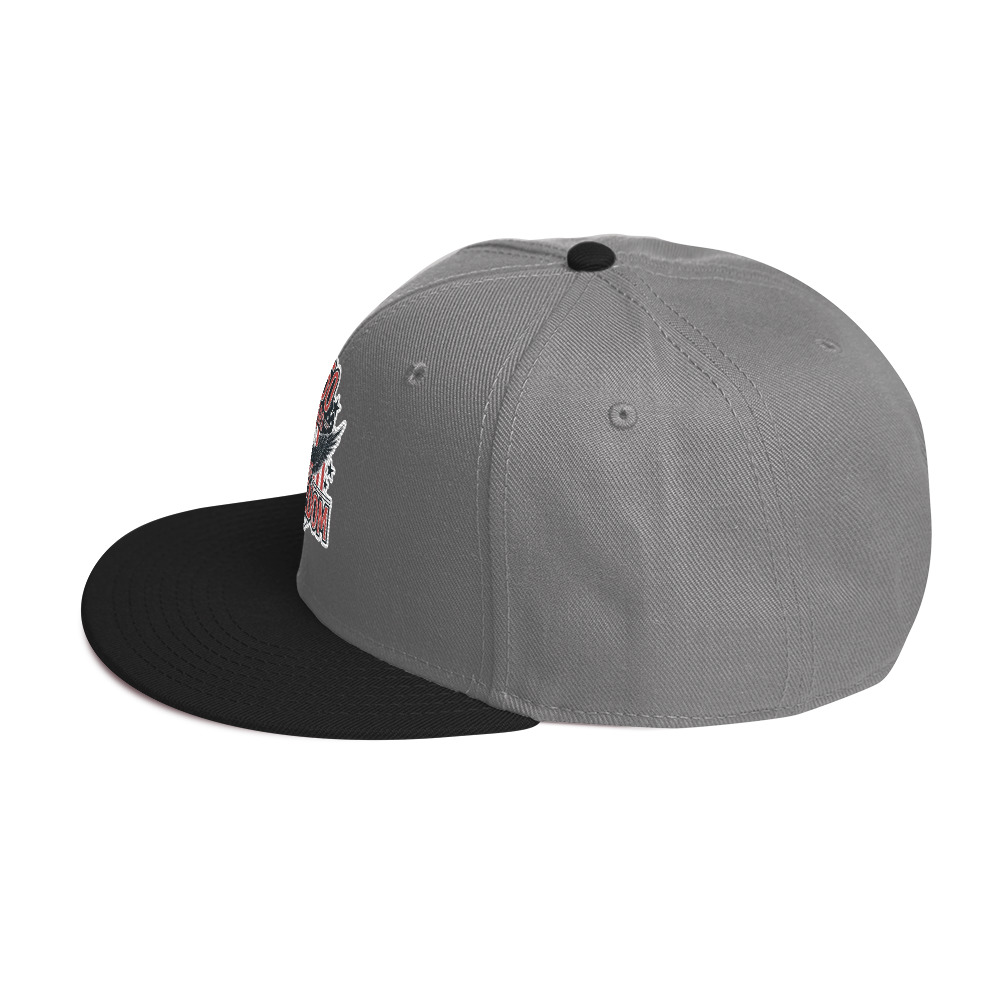 Snapback Hat - Image 59