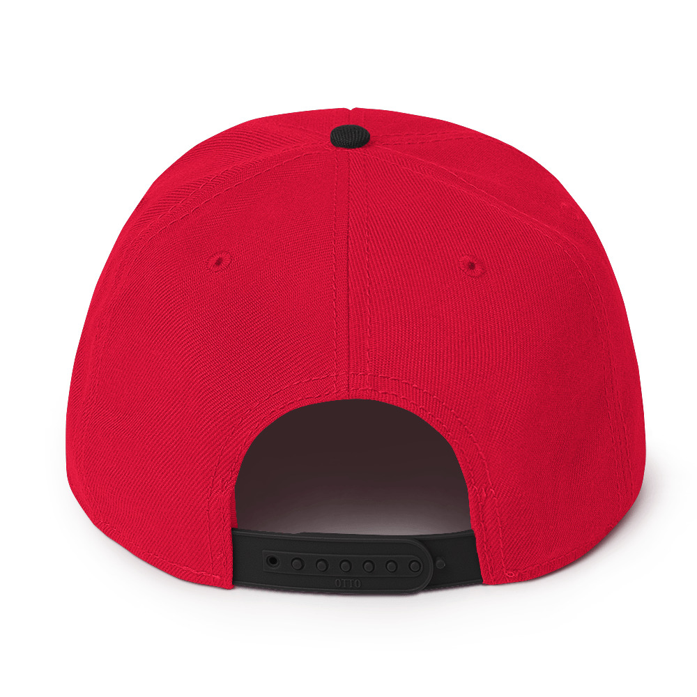 Snapback Hat - Image 38