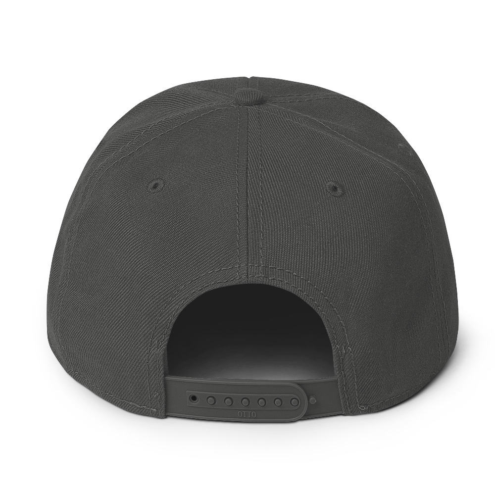 Snapback Hat - Image 50