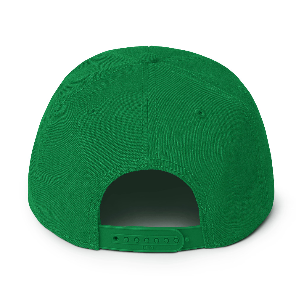 Snapback Hat - Image 54
