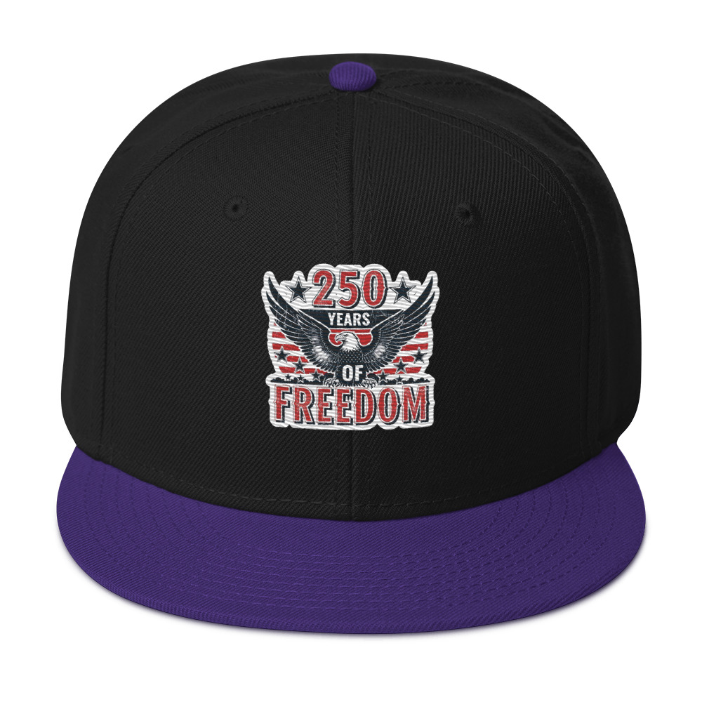 Snapback Hat - Image 5
