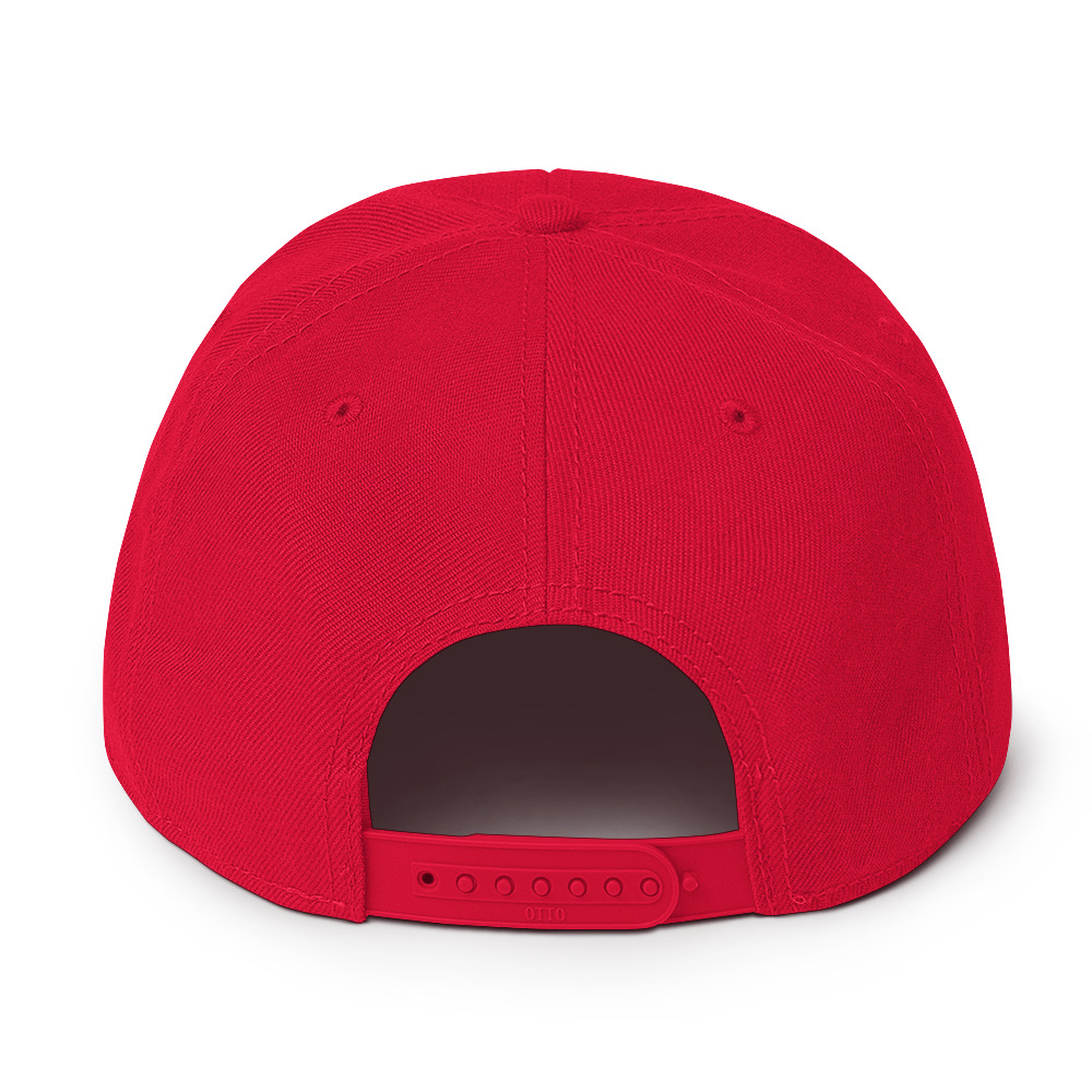 Snapback Hat - Image 42