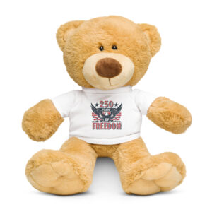 Teddy bear with a t-shirt