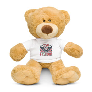 Teddy bear with a t-shirt