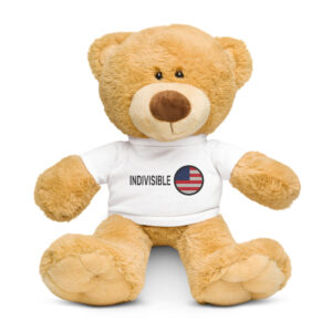 Teddy bear with a t-shirt