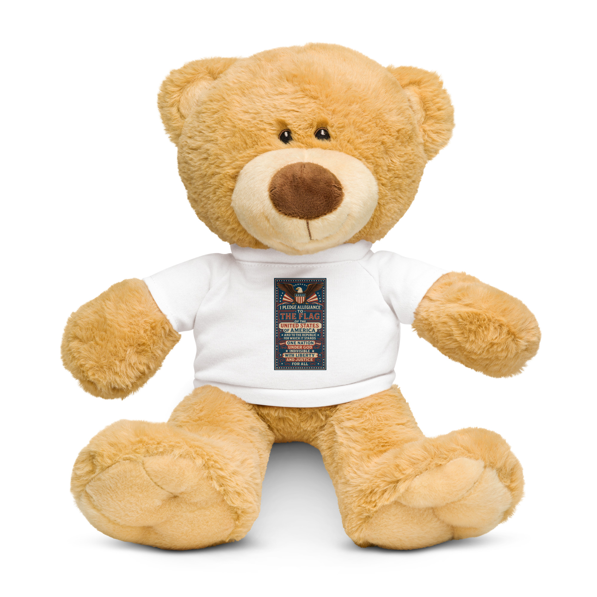 Teddy bear with a t-shirt