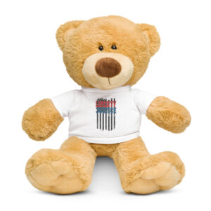 Teddy bear with a t-shirt