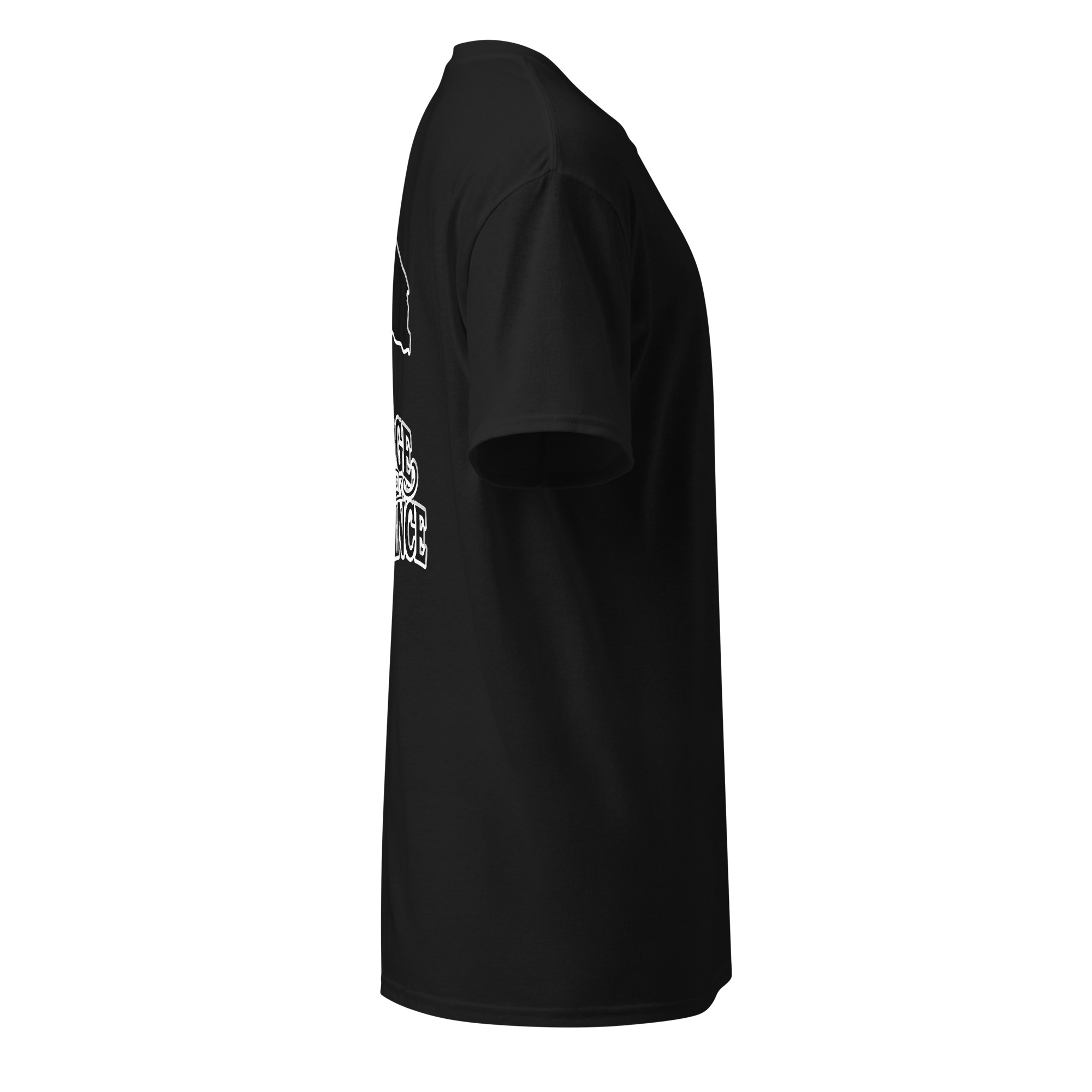 DryBlend® T-Shirt - Image 4