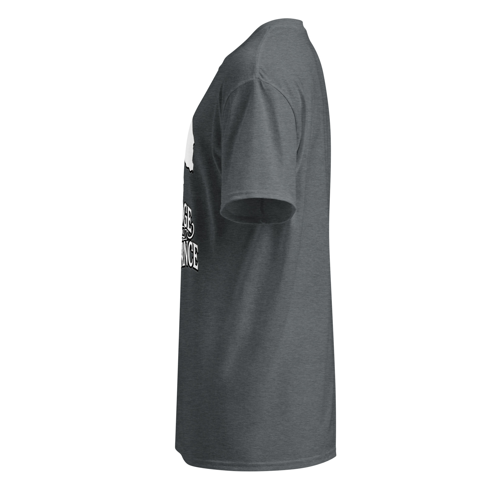 DryBlend® T-Shirt - Image 15